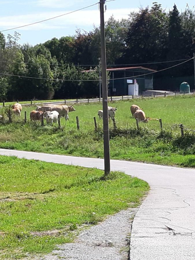 Irigoien Séjour à la campagne *